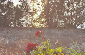 Ni&Gio Sterna 1 - Foto 45