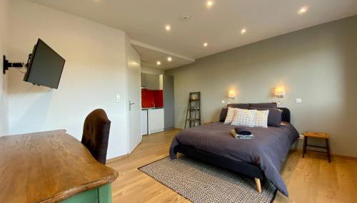 Ecole de pilotage ULM LOZERE - Foto 5