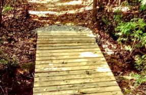 Cozy Wood Shed Tiny House Near Old Hickory Lake w/ Full Kitchen, Fire Pit & Breakfast - Foto 41