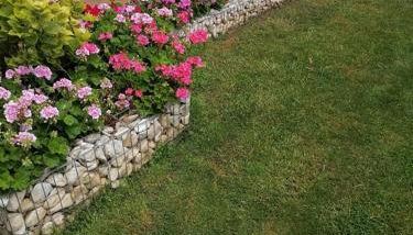 The Little Blooming House - Foto 5, Garden