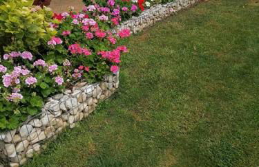 The Little Blooming House - Photo 5