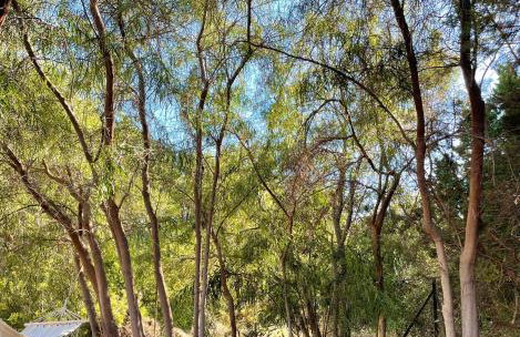 Seaside Retreat House - Foto 39