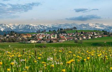 Ferienwohnung BergPfote - Hund herzlich willkommen - Foto 27