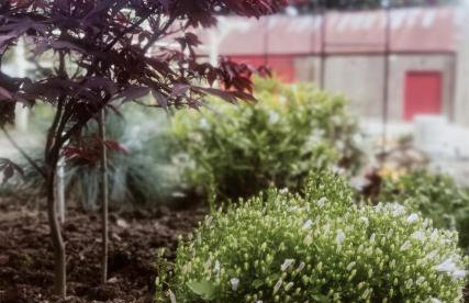 The Home House - Photo 26