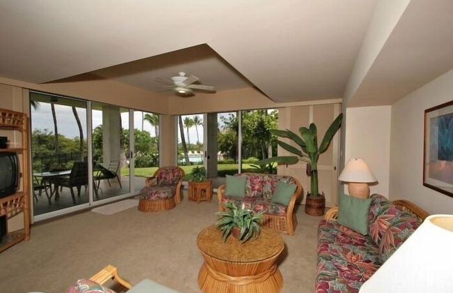 Vista Waikoloa - Foto 28