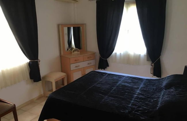 Faisan Dore - Photo 4