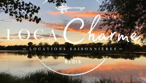 Maison familiale Blois piscine et SPA - Foto 3