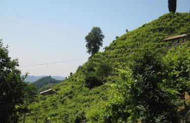 Azienda Agricola Campion - Foto 54