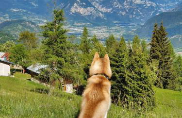 Baita casapendola - Foto 6