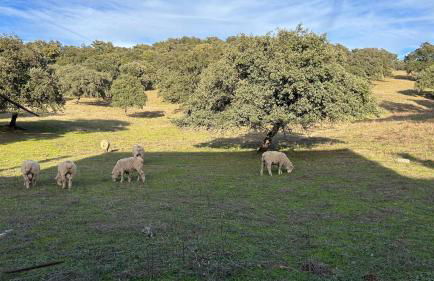 Casa Rural Nacimiento del Hueznar - Tomillo 17 - Foto 35