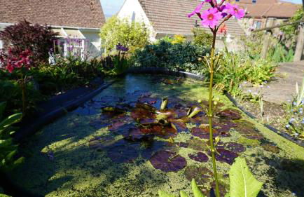 Nicosia House with sea views. - Foto 22