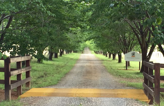 Swagman Homestead - Foto 28