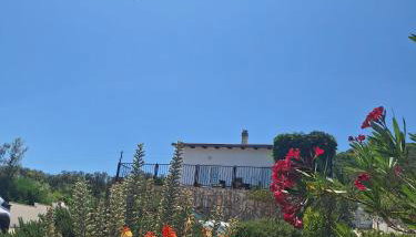 Apartman Alemka - Foto 5, Garden view
