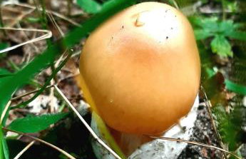 Kawalerka u Megi - Foto 24