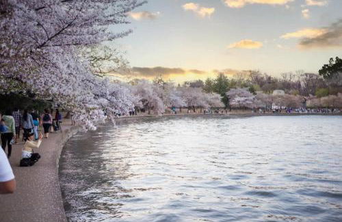 Historical DC Luxury Home 5BR & 3 BA Bloomingdale #DCottage - Foto 42