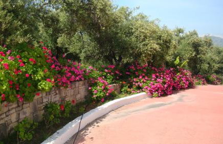 Calamon Apartments - Foto 52