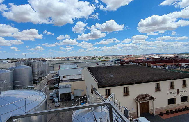 Visita alle cantine Romale - Foto 6