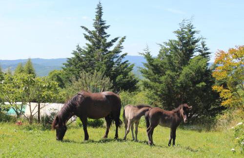 Le Mas de Fournery - Photo 39