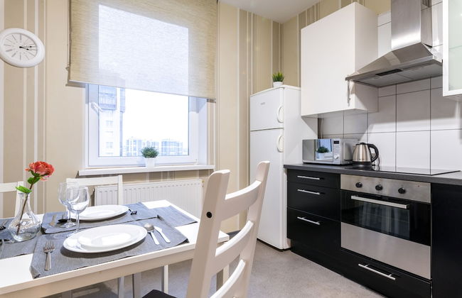 One Bedroom Great View Apartment near Gazprom Arena, UEFA 2022 - Foto 11