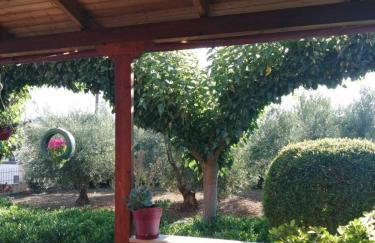 Monica's Country House - Foto 9