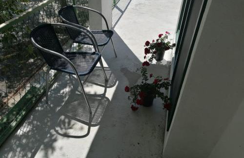 Apartman Milica - Foto 11