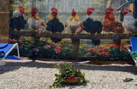 Borgo Bortolone - Foto 15