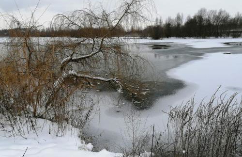 Gästezimmer am Lippesee - Apartements mit Küche - Netflix -Perfekt für Langzeitaufenthalt - Foto 63