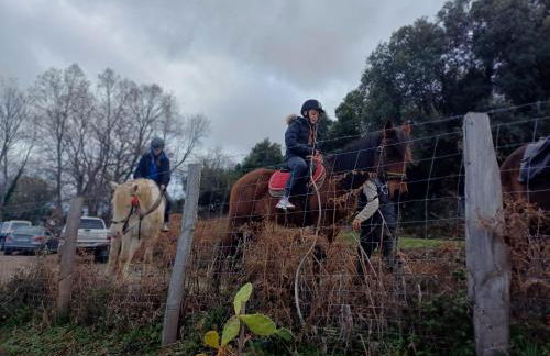 Casa Pernice - Foto 15