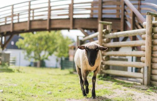 Hof Köhne - Kastanienhaus - Foto 20