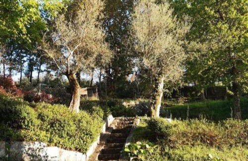 Cavado's heights Braga - Photo 29