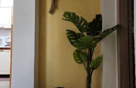 La Tana del Lupo - San Foca - Photo 9