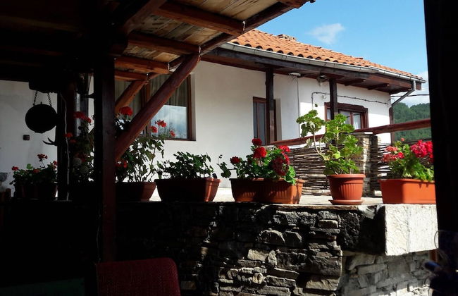 The Sharkov House - Photo 1