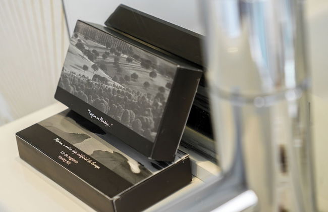 Arches et Étoiles - Photo 31