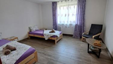 Wohnung mit 2 - 3 Zimmern - Foto 3