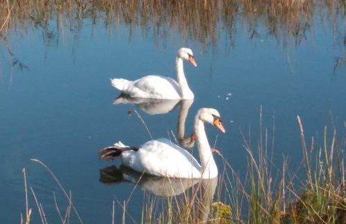 Estudio de encanto en Isla playa - Foto 29