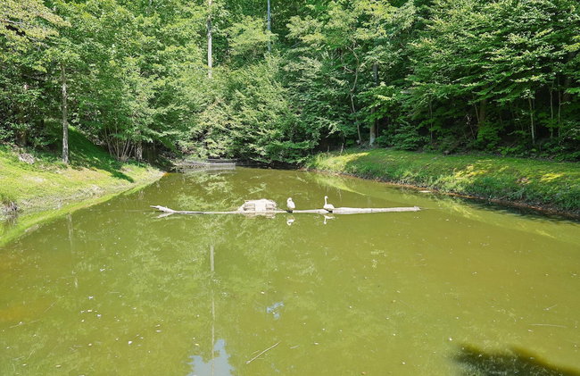 Cub's Cove by Jackson Mountain Rentals - Photo 25