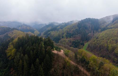 Ferienhof Giedensbach - Foto 11