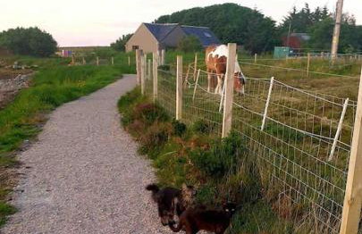 Isla’s Cottage - Foto 27