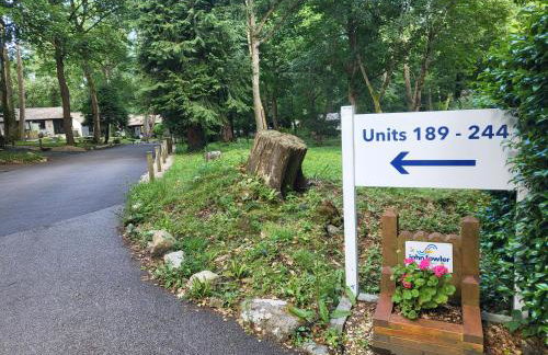 Bumbeldink - Foto 26