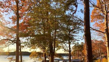 Beautiful Cabin by the Lake Nestled in Sabine National Forest for a Romantic Retreat in Hemphill, Texas - Foto 3