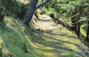 Quinta Dos Avós Lourenço - Foto 31