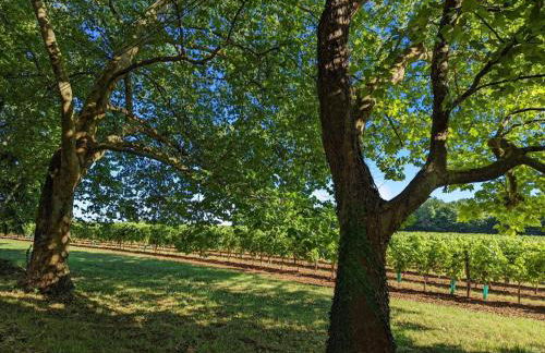 Gîte de charme près de Cognac avec vélos et jardin - FR-1-653-205 - Foto 26