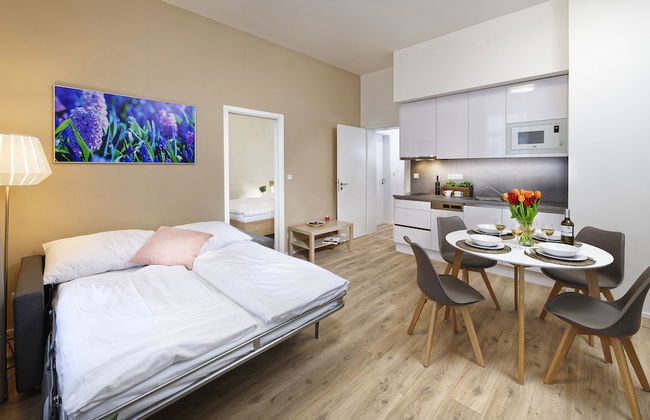 DownTown Suites Jugoslavska - Photo 13