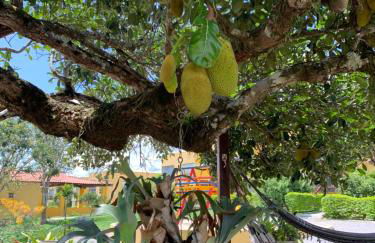 flat em serra negra - bezerros - Foto 24