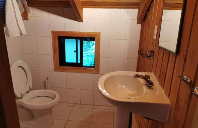 Cabaña Pudomo en Coñaripe con Hot-tub Exclusivo - Foto 8