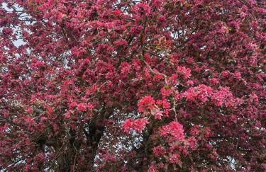 Exquisite tiny house with garden and air con - between Paris-Disneyland - 3mins from train station - Foto 25