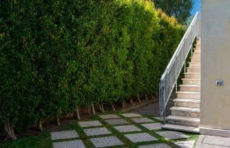 Luxury Suite in Villa with Private Pool - Near Rome & Ostia - Foto 41