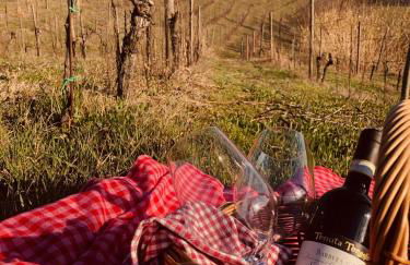 Tenuta Tenaglia - Foto 74