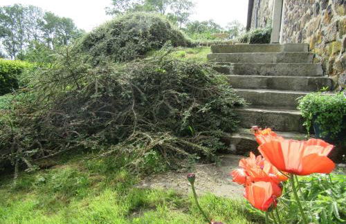 Ferme restaurée avec jardin clos et terrasse, proche Puy en Velay - FR-1-582-271 - Foto 25