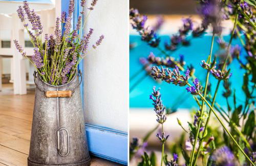 Villa Romansa near Split- heated pool peace, bbq - Foto 19